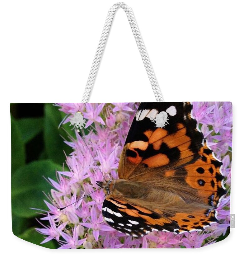 Nature Weekender Tote Bag featuring the photograph Poor Butterfly by Photographic Arts And Design Studio