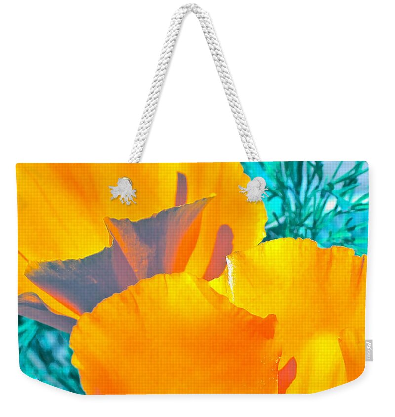 Poppies Weekender Tote Bag featuring the photograph Poppy 4 by Pamela Cooper