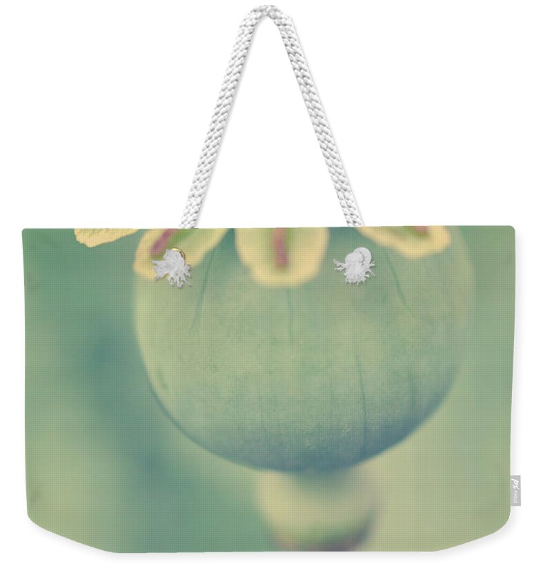 Outdoors Weekender Tote Bag featuring the photograph Poppy Seed Head by Jayneburfordphotography