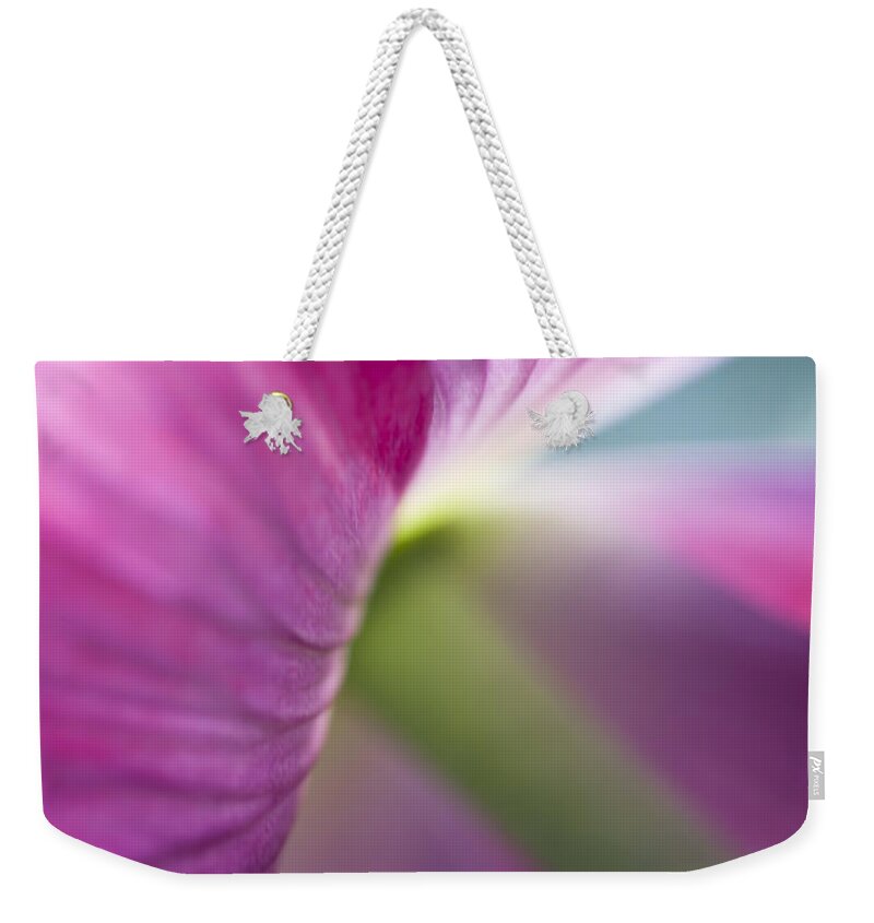 Pink Flower Weekender Tote Bag featuring the photograph Poppy's Pink Skirts by Jan Bickerton
