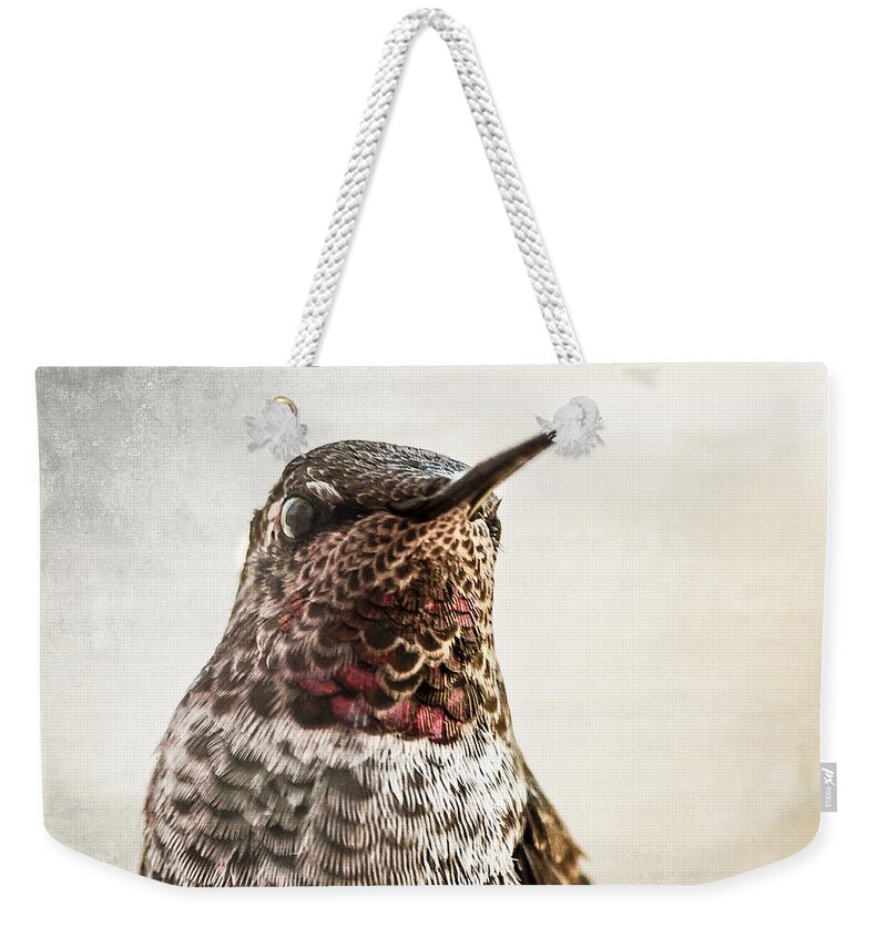 Hummingbird Weekender Tote Bag featuring the photograph Portrait of a Hummer by Caitlyn Grasso