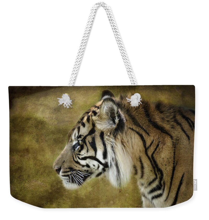 Sumatran Tiger Weekender Tote Bag featuring the photograph Portrait of a Tiger by Saija Lehtonen