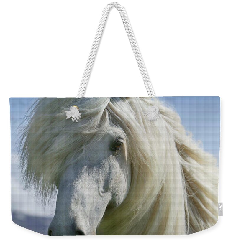 Photography Weekender Tote Bag featuring the photograph Portrait Of White Icelandic Horse by Animal Images
