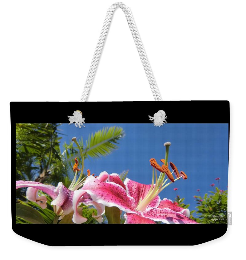 Blue Weekender Tote Bag featuring the photograph Possibilities 3 by Michele Penn