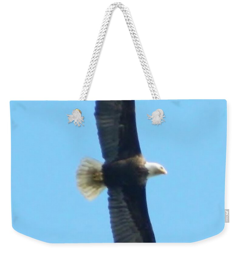 Eagle Weekender Tote Bag featuring the photograph Powerful Elegance by Gallery Of Hope 