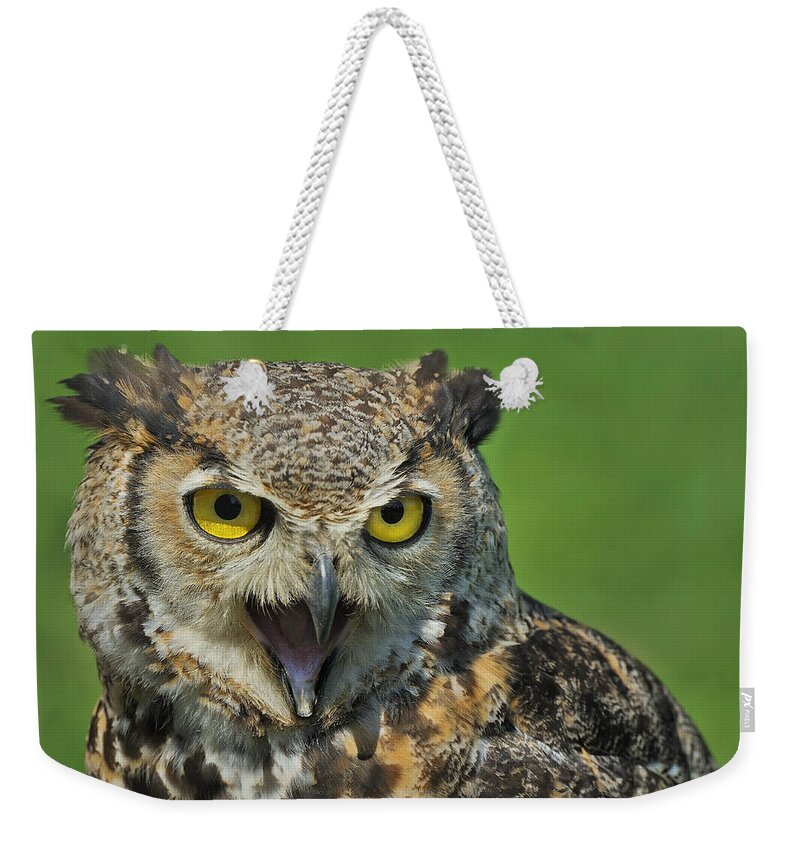 Great Horned Owl Weekender Tote Bag featuring the photograph Predator by Tony Beck