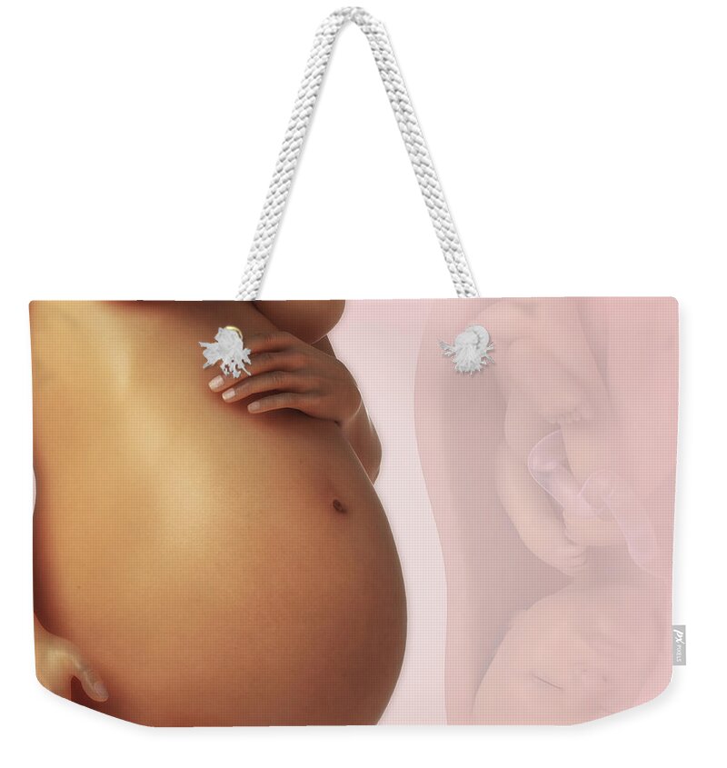 3d Visualisation Weekender Tote Bag featuring the photograph Pregnancy by Science Picture Co