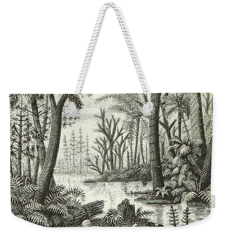 Historic Weekender Tote Bag featuring the photograph Prehistoric Flora, Carboniferous by British Library