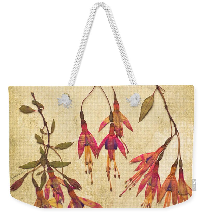 Flower Weekender Tote Bag featuring the photograph Pressed Fuchsia Flowers by Jan Bickerton