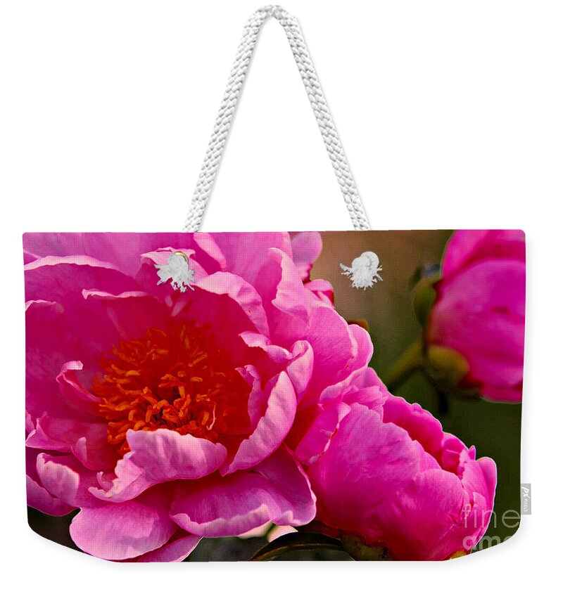 Pink Flowers Weekender Tote Bag featuring the photograph Pretty in Pink by Elizabeth Winter