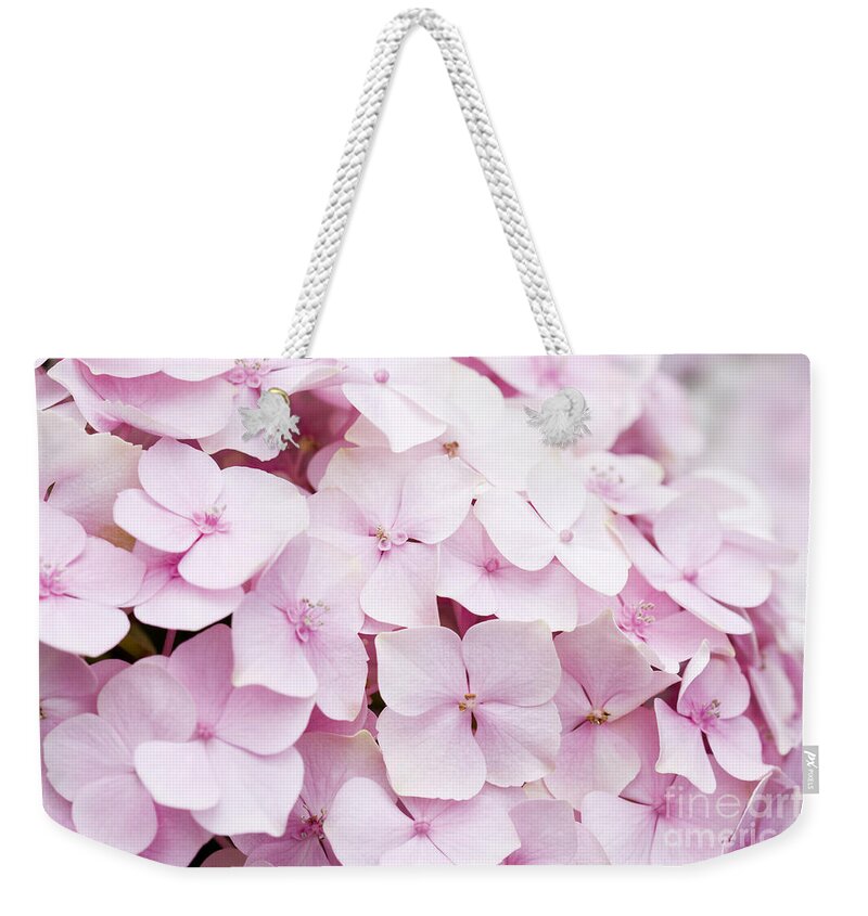 Hydrangea Weekender Tote Bag featuring the photograph Pretty in Pink by Patty Colabuono