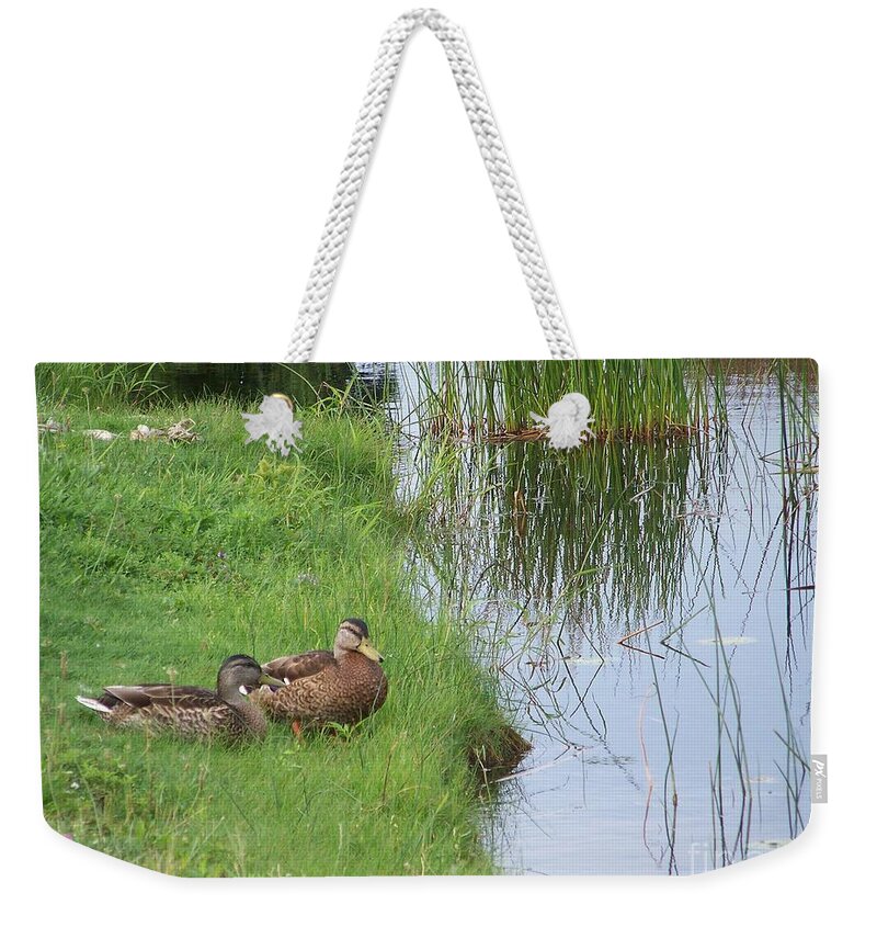 Mallards Weekender Tote Bag featuring the photograph Mated Pair of Ducks by Eunice Miller