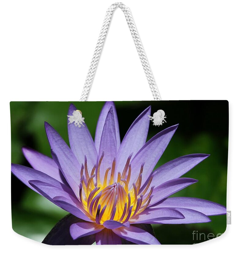 Landscape Weekender Tote Bag featuring the photograph Pretty Purple Petals by Sabrina L Ryan