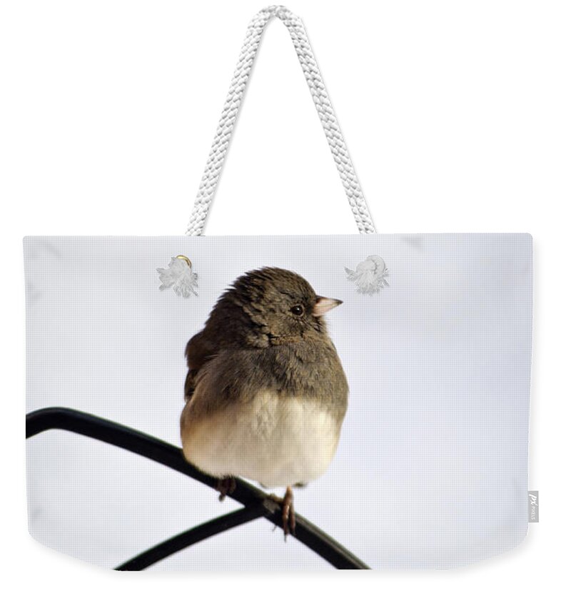 Winter Weekender Tote Bag featuring the photograph Pretty Winter Junco by Christina Rollo