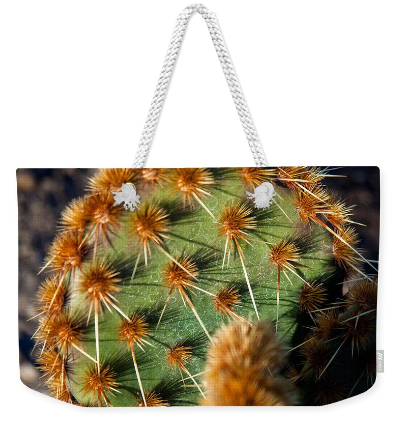Prickly Cactus Leaf Photographs Weekender Tote Bag featuring the photograph Prickly Cactus Leaf Green Brown Plant Fine Art Photography Print by Jerry Cowart