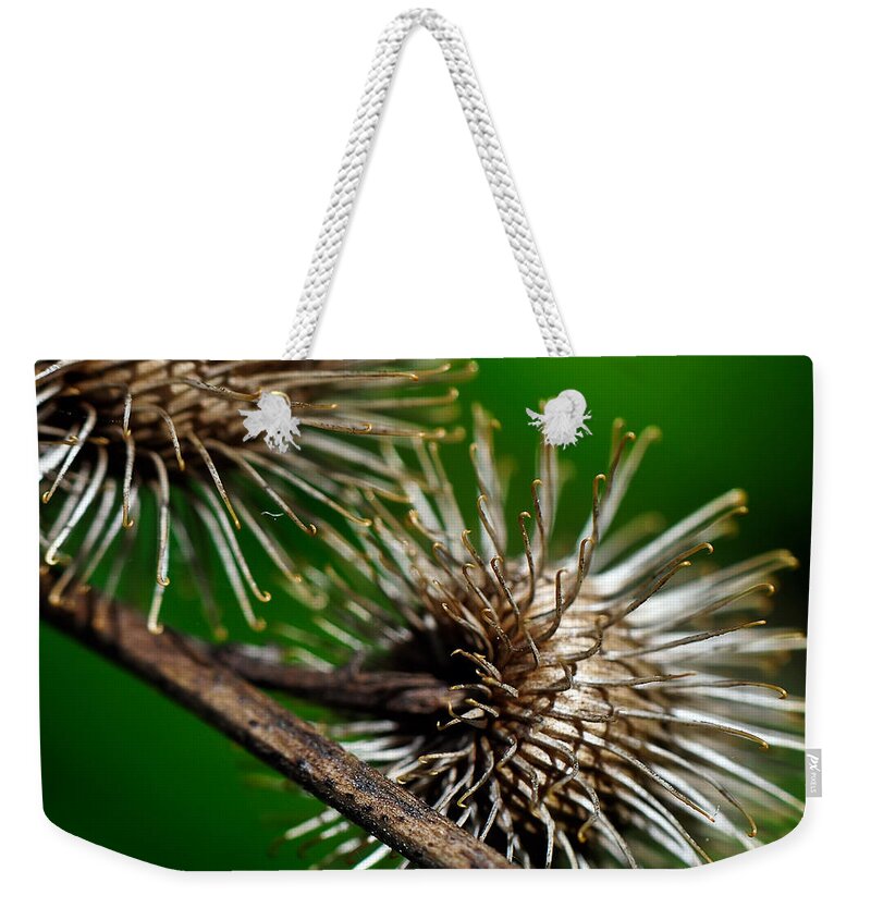Thistle Weekender Tote Bag featuring the photograph Prickly by Lois Bryan
