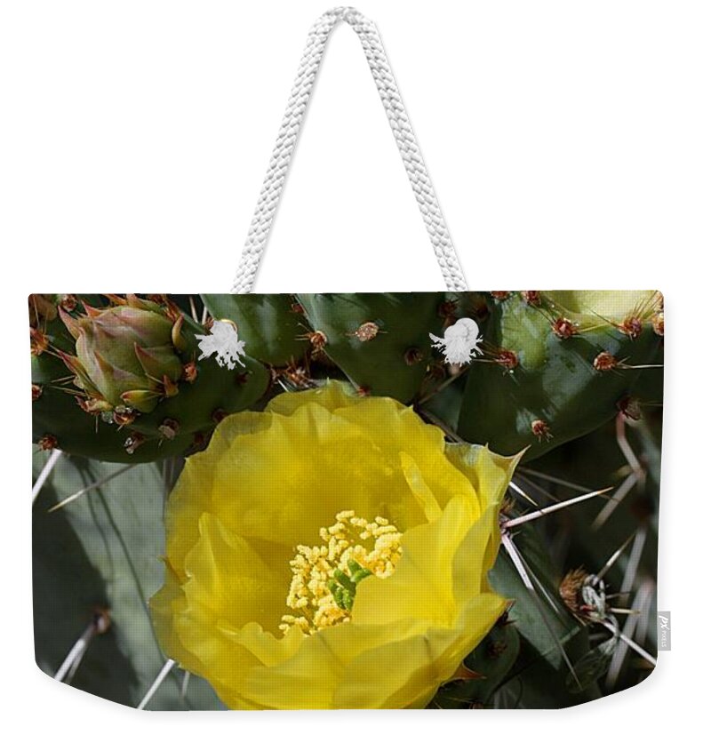 Prickly Pear Weekender Tote Bag featuring the photograph Prickly Pear Blossoms and Buds by Joe Kozlowski