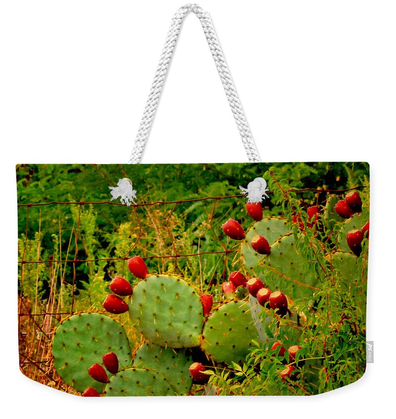 Cactus Weekender Tote Bag featuring the photograph Prickly Pear Cactus by Bonnie Willis