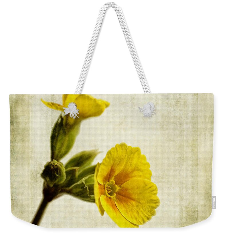 Polyanthus Pacific Giant Yellow Weekender Tote Bag featuring the photograph Primula Pacific Giant Yellow by John Edwards