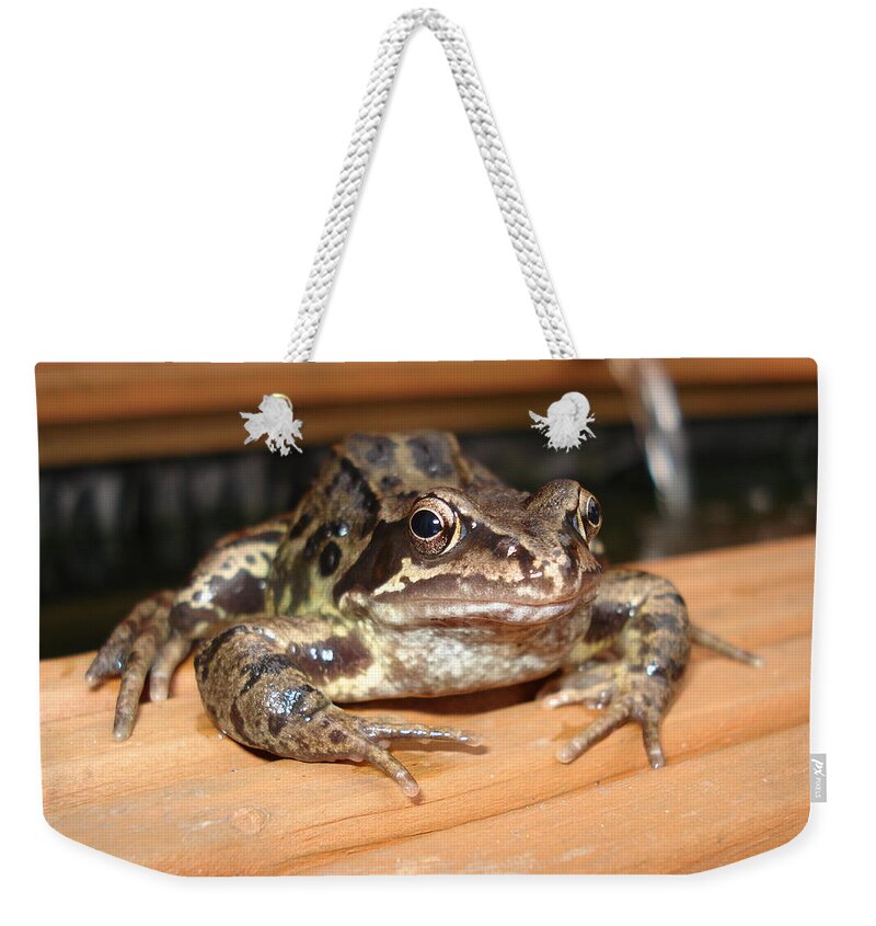 Frog Weekender Tote Bag featuring the photograph Prince Charming by Krystyna Spink