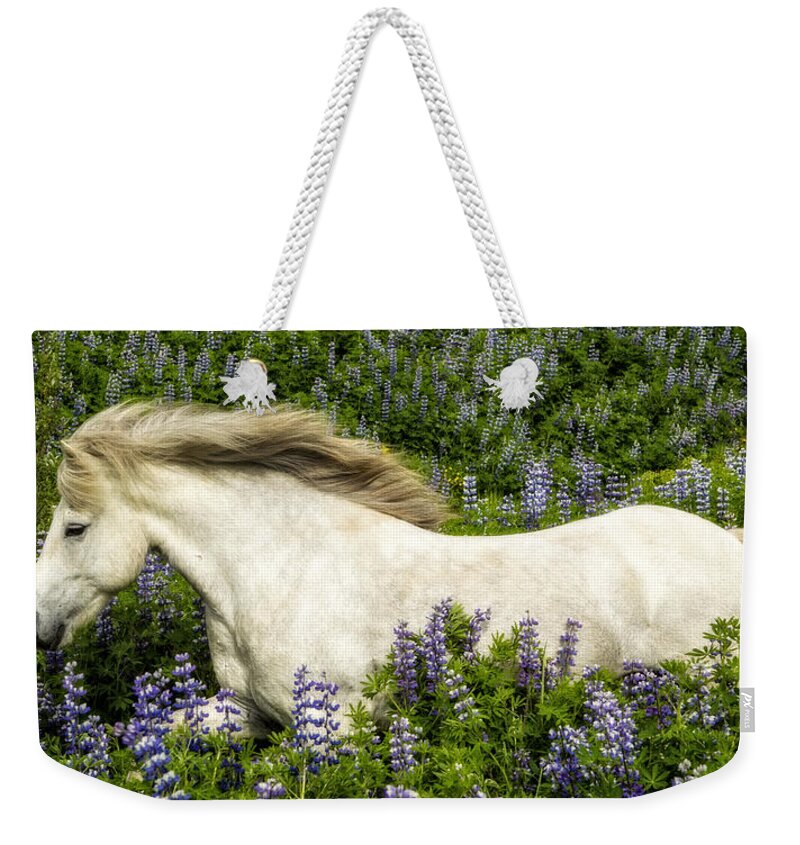 Equine Weekender Tote Bag featuring the photograph Prince of the Lupine by Joan Davis