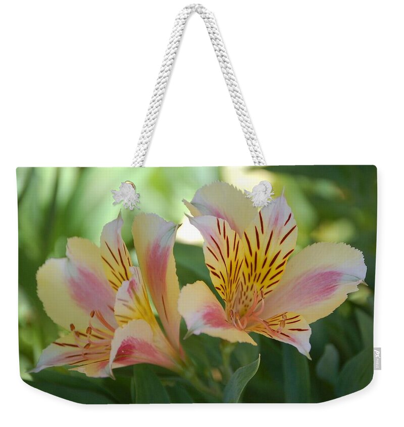 Linda Brody Weekender Tote Bag featuring the photograph Princess Lily by Linda Brody