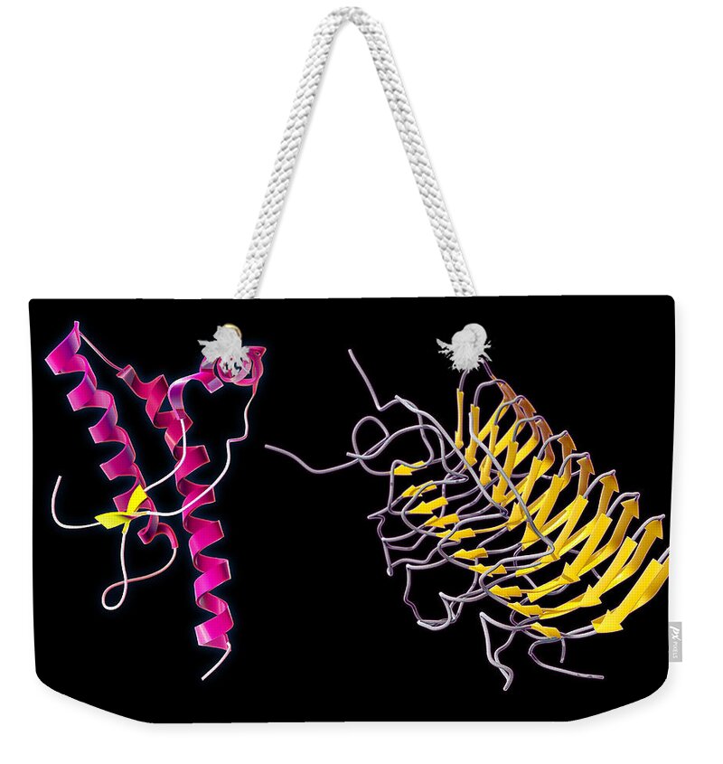 Bovine Spongiform Encephalopathy Weekender Tote Bag featuring the photograph Prion Isoforms by Evan Oto