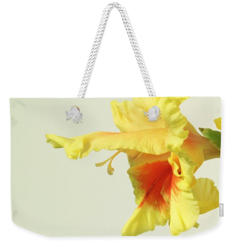  Gladiola Weekender Tote Bag featuring the photograph Profiling Glady by Deborah Crew-Johnson
