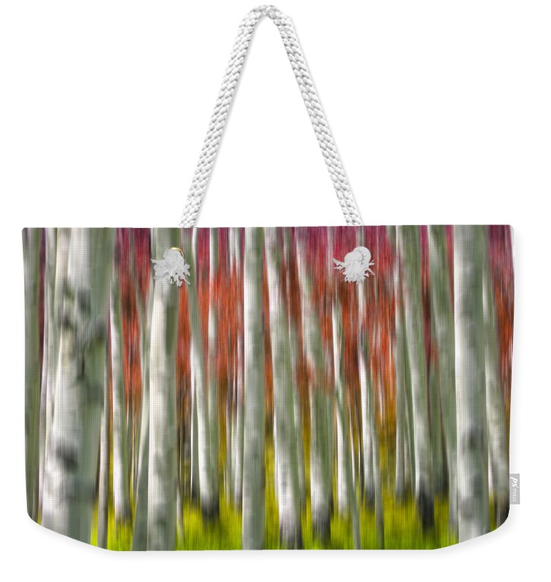 3scape Weekender Tote Bag featuring the photograph Progression of Autumn by Adam Romanowicz