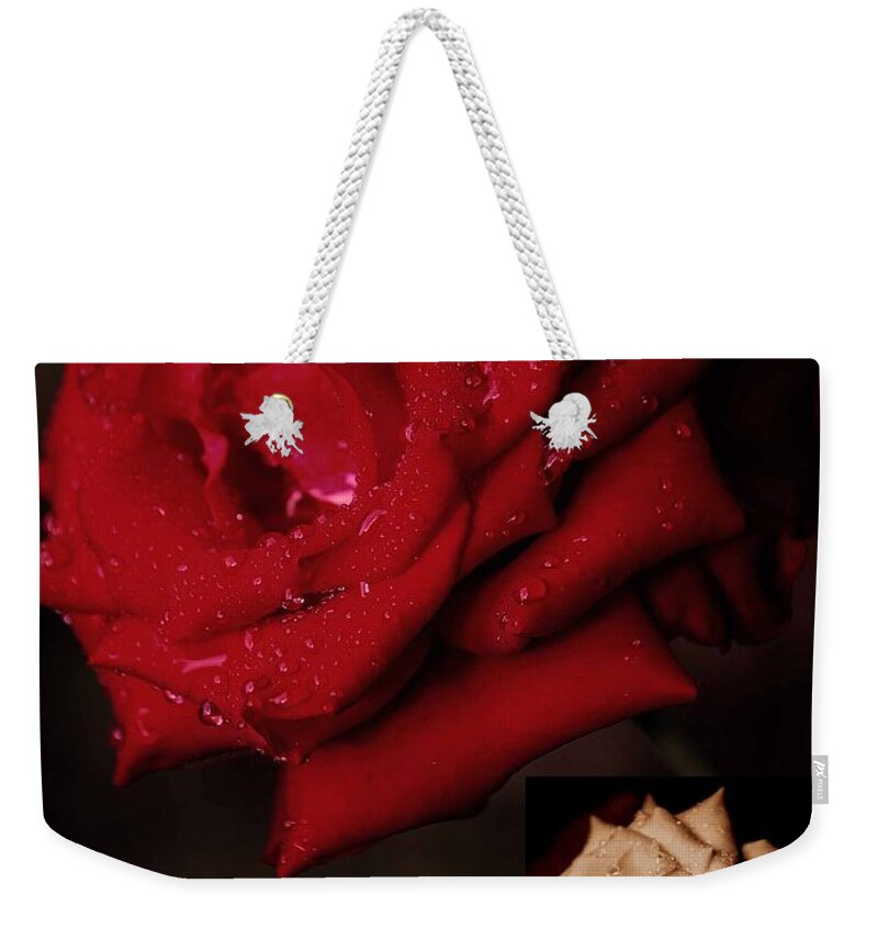 Rose Weekender Tote Bag featuring the photograph Promise of Tomorrow by DigiArt Diaries by Vicky B Fuller