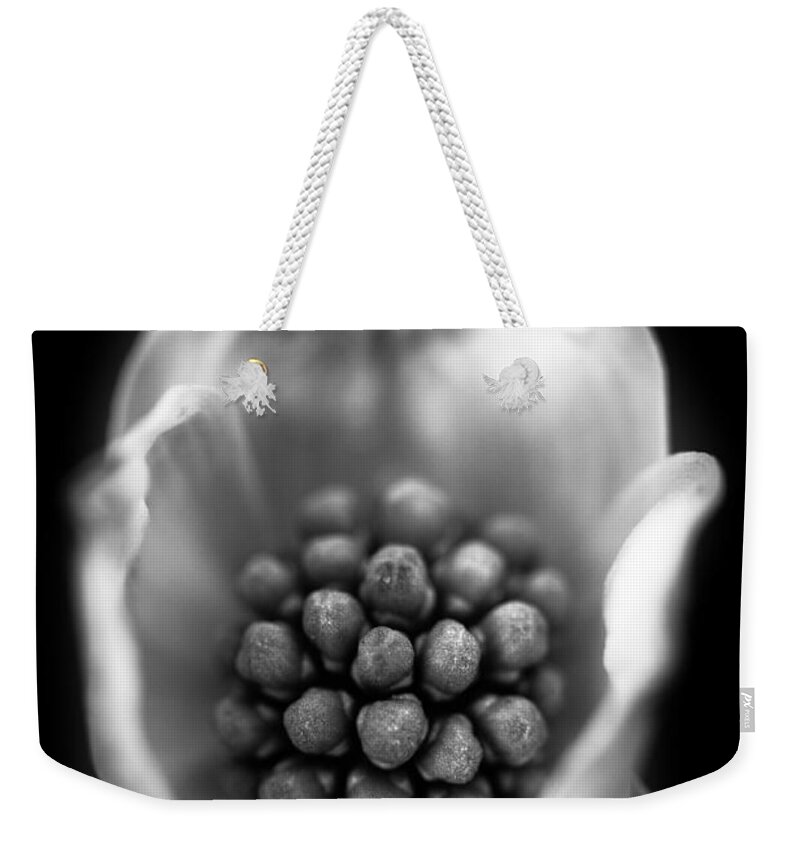 Protected Weekender Tote Bag featuring the photograph Protected by Shane Holsclaw