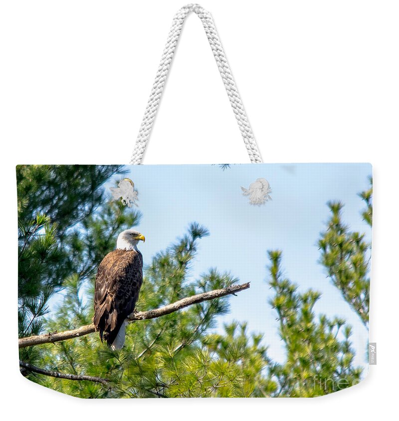 Landcape Weekender Tote Bag featuring the photograph Proud Papa by Cheryl Baxter