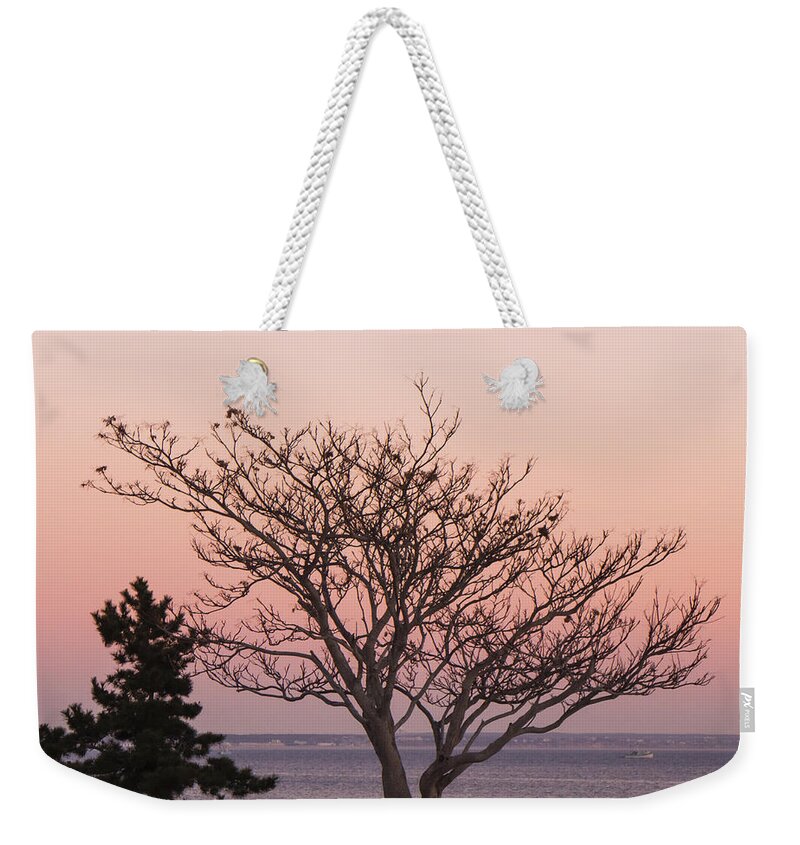 Provincetown Weekender Tote Bag featuring the photograph Provincetown December 2012 by Frank Winters