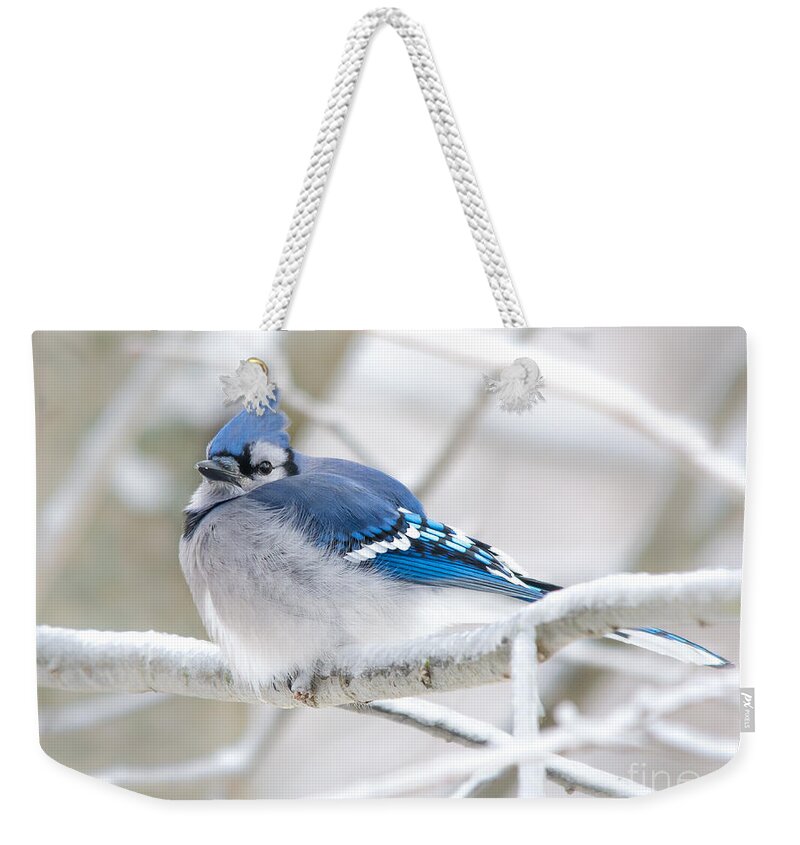 Bokeh Weekender Tote Bag featuring the photograph Puffy Blue by Cheryl Baxter