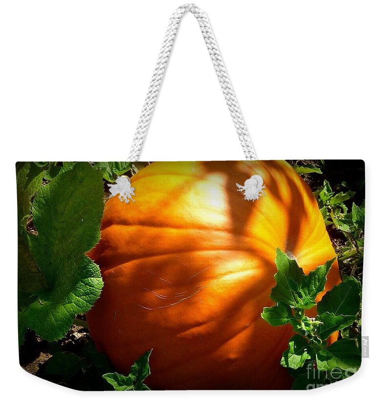 Fall Season Weekender Tote Bag featuring the photograph Pumpkin Shade by Susan Garren