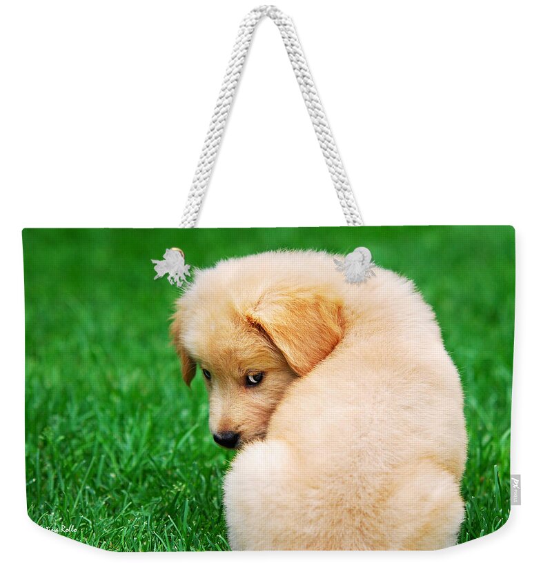 Golden Retriever Weekender Tote Bag featuring the photograph Puppy Love by Christina Rollo