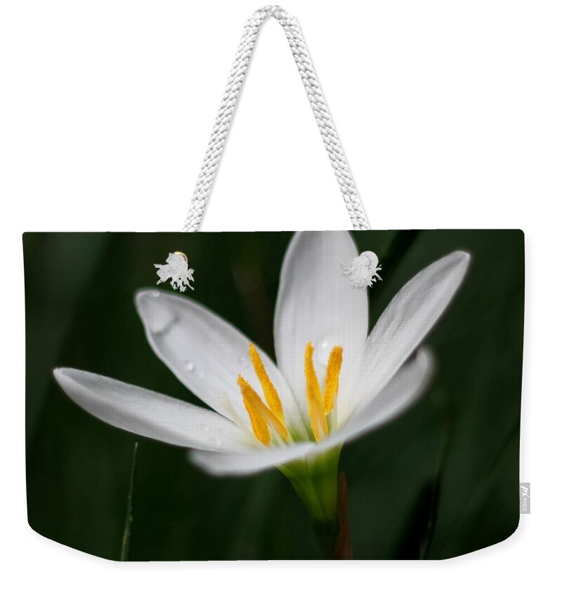 Lily Weekender Tote Bag featuring the photograph Pure White - Lily by Ramabhadran Thirupattur