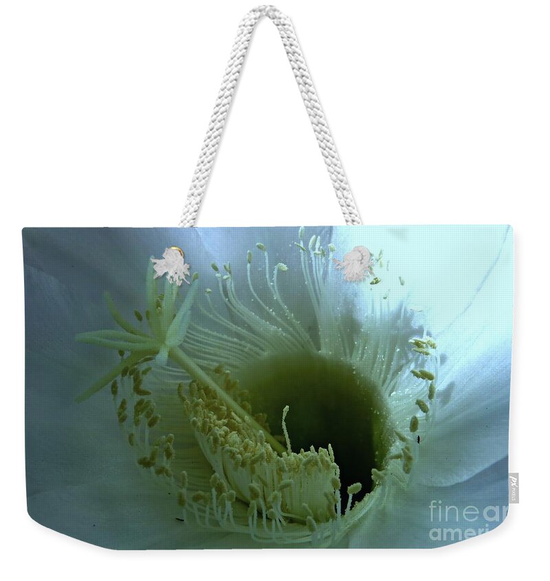 Cactus Flower Weekender Tote Bag featuring the photograph Purity by Leanne Seymour