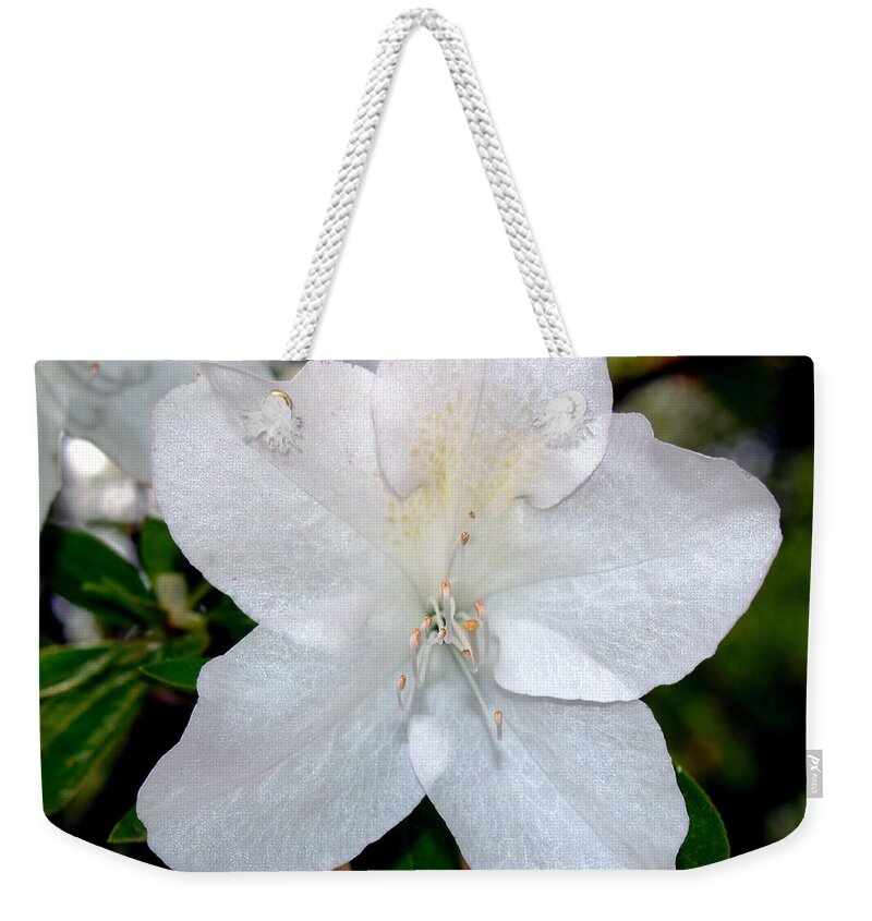Flower Photography Weekender Tote Bag featuring the photograph Purity by Patricia Griffin Brett