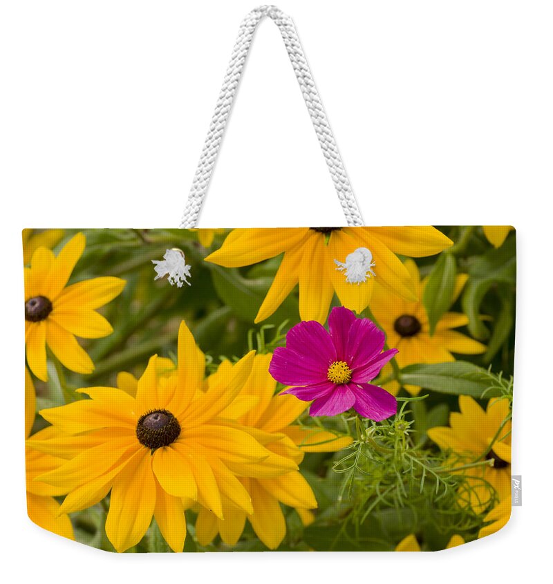 Flowers Weekender Tote Bag featuring the photograph Purple and Yellow Flowers by Lynn Hansen