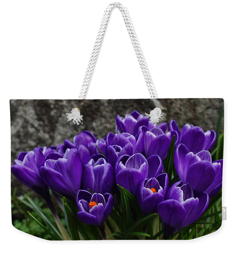 Crocus Weekender Tote Bag featuring the photograph Purple Crocus by Ron Roberts