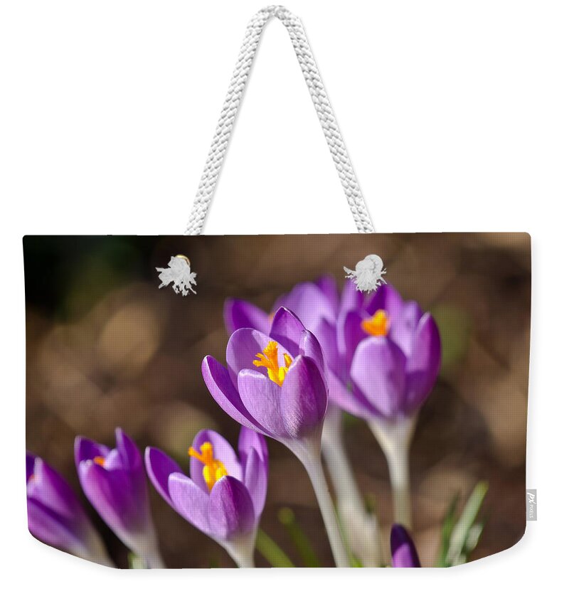 Crocus Weekender Tote Bag featuring the photograph Purple Crocus by Scott Carruthers