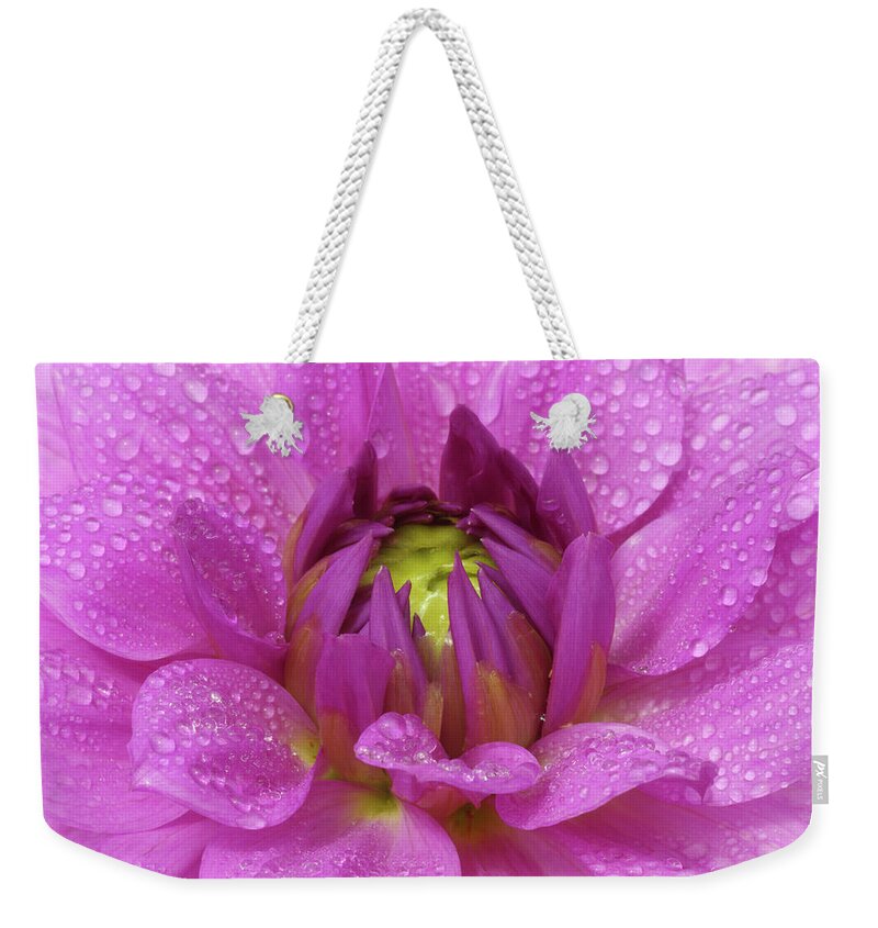 Haslemere Weekender Tote Bag featuring the photograph Purple Dahlia Opening At Centre With by Rosemary Calvert