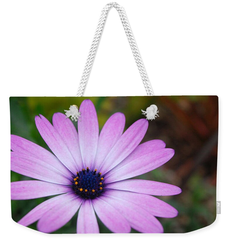 Flower Weekender Tote Bag featuring the photograph Purple Daisy by Amy Fose