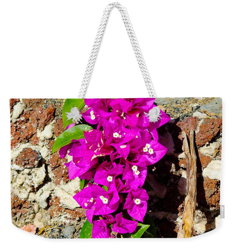 Las Palmas Weekender Tote Bag featuring the photograph Purple flowers with yellow centers by Tracy Winter