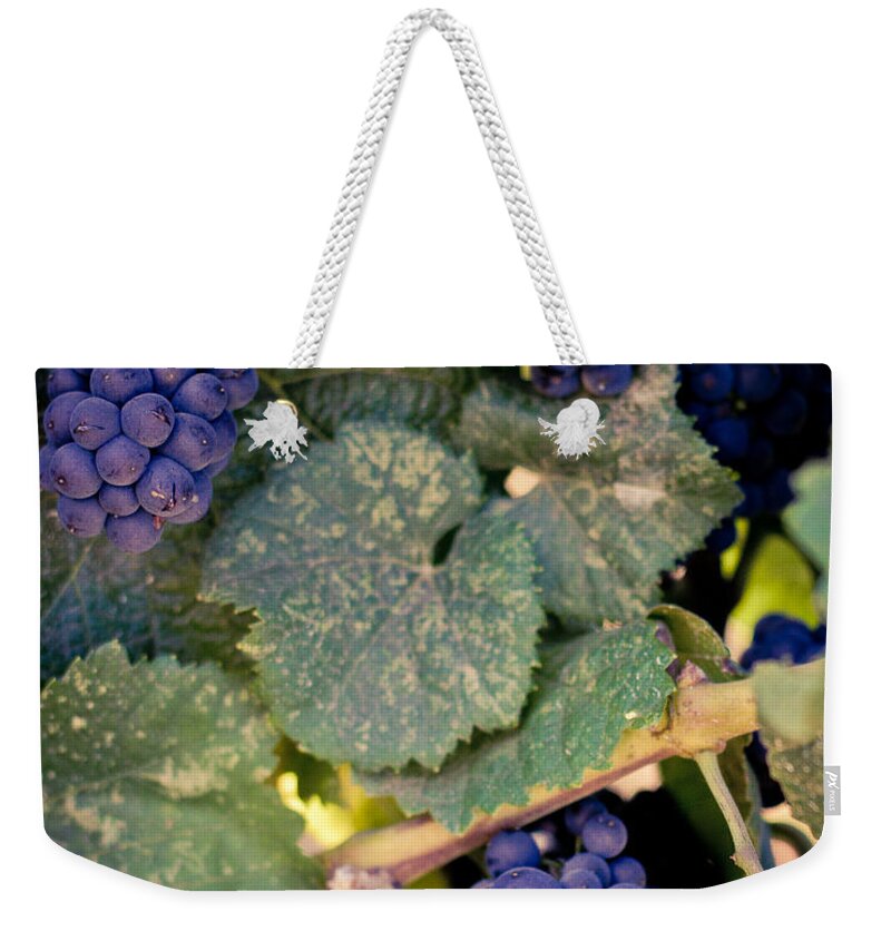 Grapes Weekender Tote Bag featuring the photograph Purple Grapes on the Vine by Ana V Ramirez