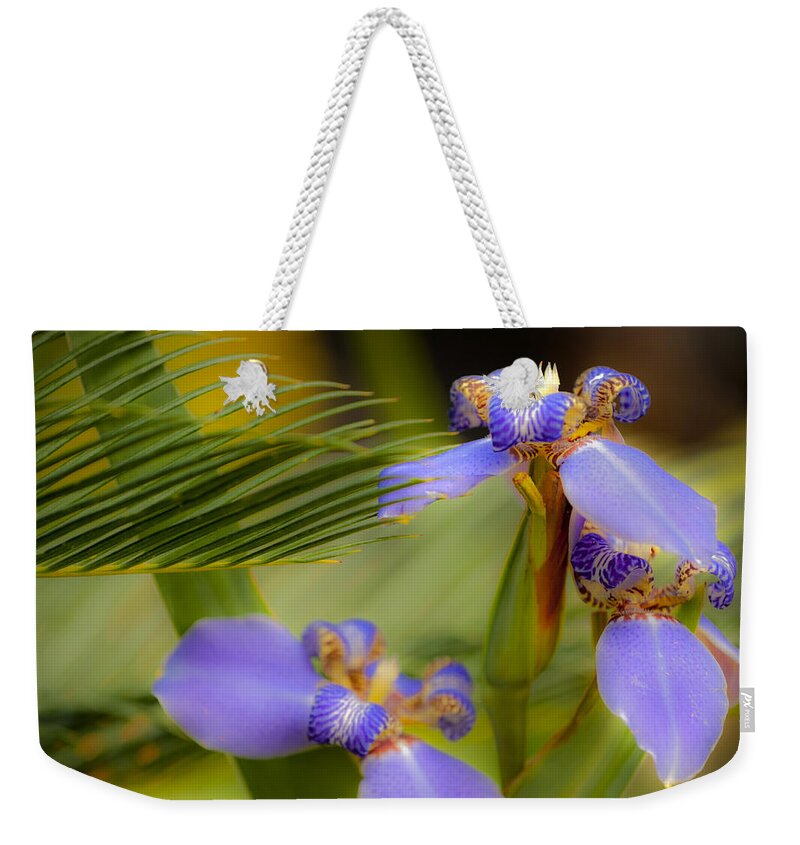Flower Weekender Tote Bag featuring the photograph Purple Iris No. 1 by Stephen Anderson