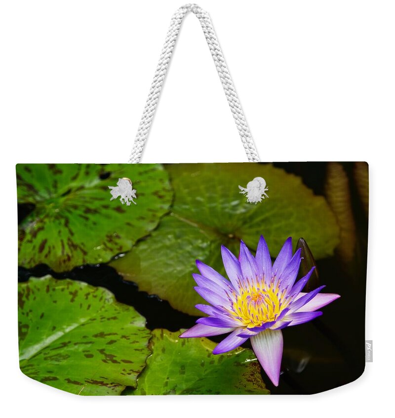  Water Lily Weekender Tote Bag featuring the photograph Purple Lily by Dave Files