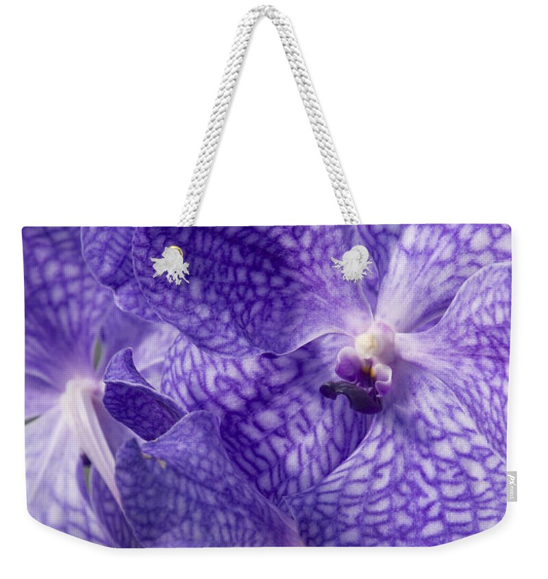 Orchids Weekender Tote Bag featuring the photograph Purple orchids by Elena Perelman