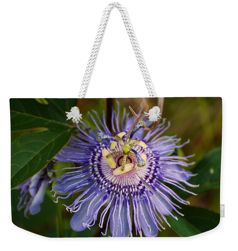 Flowers Weekender Tote Bag featuring the photograph Purple Passion flower by Flees Photos